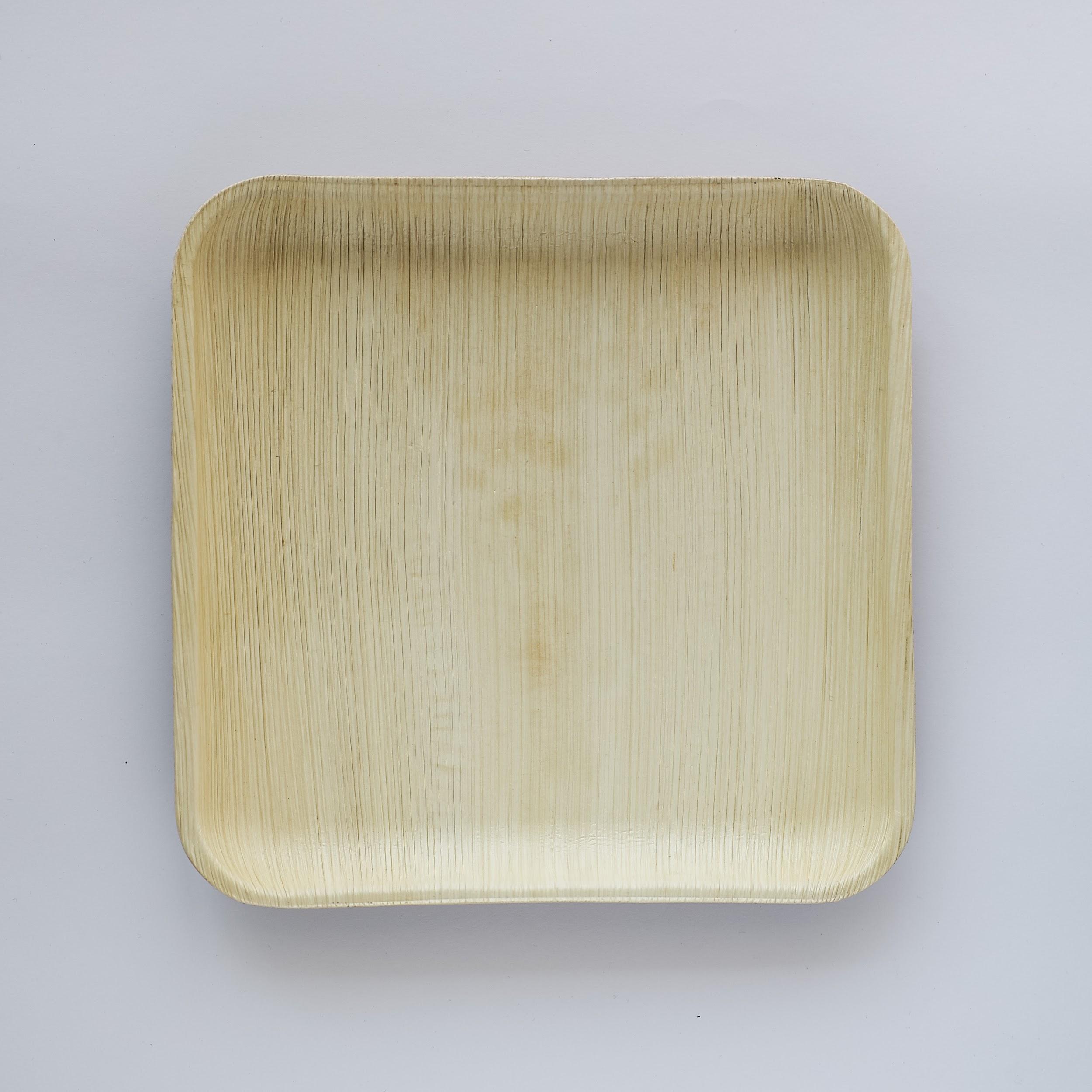 527- 10*10" inch square plate