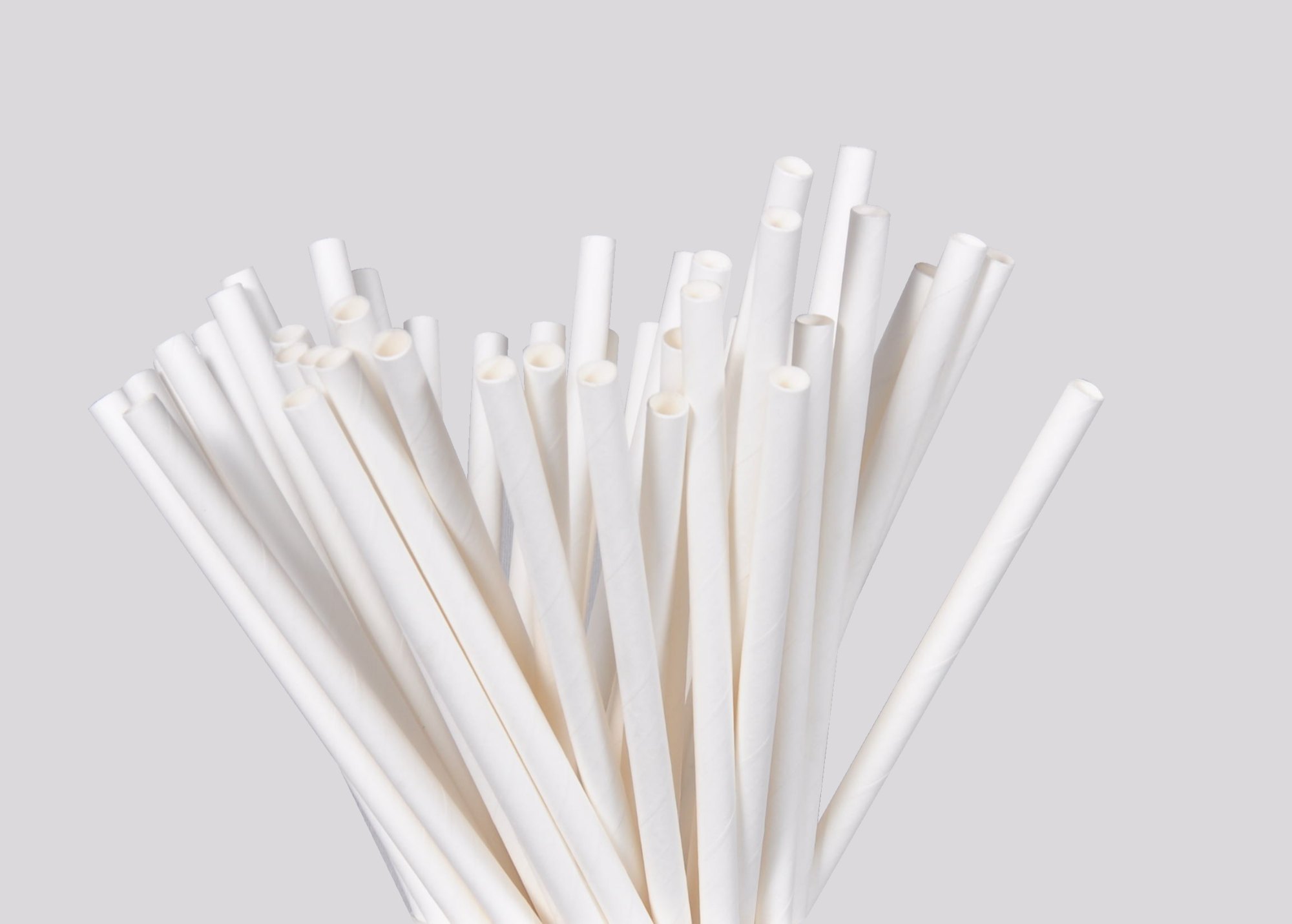 Paper Straws
