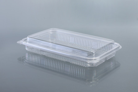HINGED BOX 320 X 250 X 43 MM