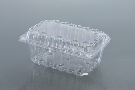 PUNNET 500 GMS